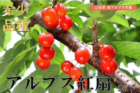 [2026年発送先行予約]南アルプス市産 アルプス紅扇 24個入り(2L以上) AL
