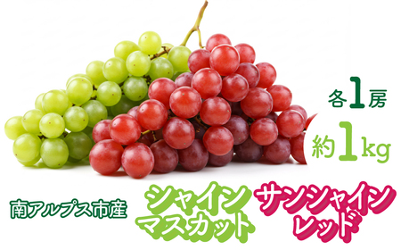 2026Ns\񁄃VC}XJbgƃTVCbhe1[ 1kg ALPFK002