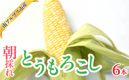 2026Ns\񁄓AvXsY@̂@Ƃ낱@6{@ALPAJ061