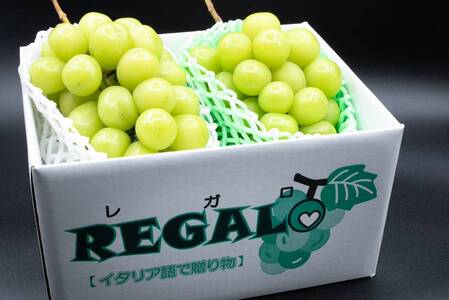 2026Ns\񁄖jK@` ΂̕΁EVC}XJbg `@2.0sȏ 3`4[ ALPCV008@| |