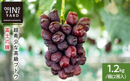 2026�N�H���n��s�\�� �R�����Y �x�m�̋P�P.�Q�����^���Q�[�� ALPAK020