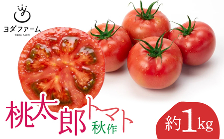 桃太郎トマト(秋作)約 1kg AL