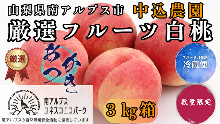 ＜2026年発送先行予約＞ 山梨県南アルプス市産 厳選桃 (あかつき) 3kg ALPEM007
