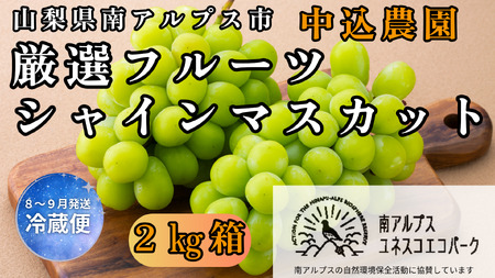 ＜2026年発送先行予約＞ 山梨県南アルプス市産 厳選シャインマスカット 2kg ALPEM010