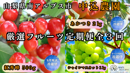 [2026年発送先行予約]山梨県南アルプス市産 厳選フルーツ定期便全3回A(さくらんぼ・桃・シャインマスカット1kg) AL