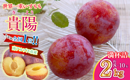 [2026年発送先行予約]南アルプス市産 すもも[貴陽]2kg 満杯詰 AL