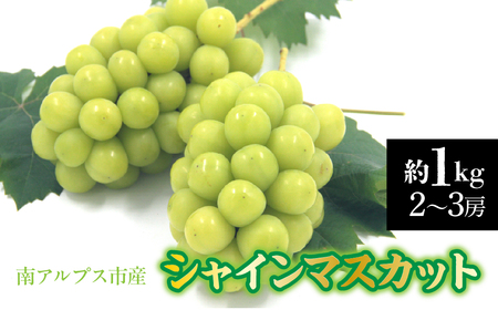 [2026年発送先行予約]南アルプス市産 シャインマスカット 約1.0kg(2〜3房) AL