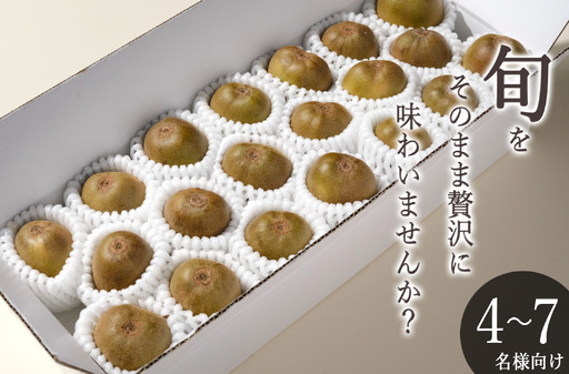 ＜先行予約2026年＞南アルプス市産 完熟レッドキウイ 1.6kg(21~24個入)  ALPAL053