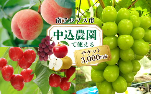 中込農園 クーポン券 3,000円 AL