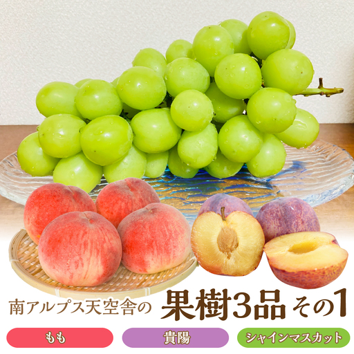 南アルプス天空舎の果樹3品その1(もも,貴陽,シャインマスカット) AL