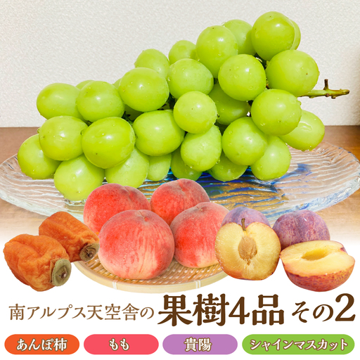 南アルプス天空舎の果樹4品その2(あんぽ柿,もも,貴陽,シャインマスカット) AL