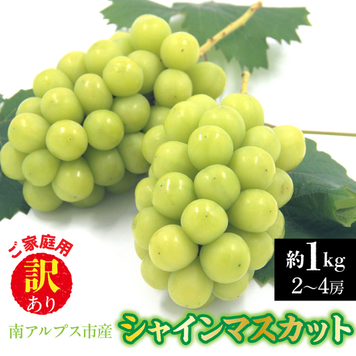 【2026年発送先行予約】南アルプス市産　【訳あり】シャインマスカット　約1.0kg（２～4房） ALPDD028