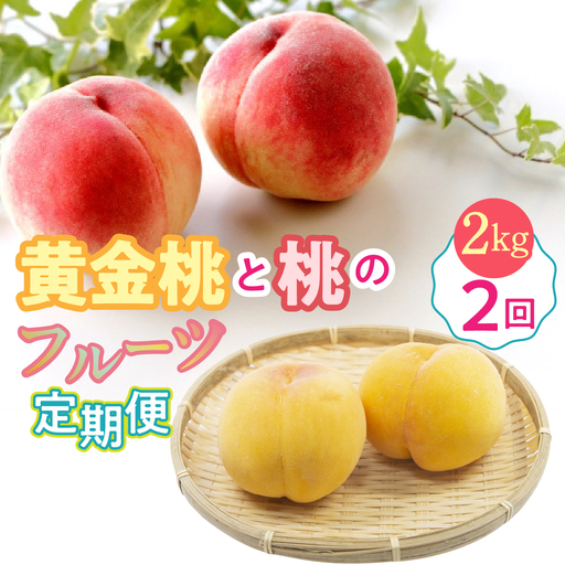 [2026年発送先行予約]黄金桃と桃のフルーツ2回定期便 約2kg AL