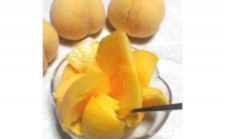5-18 [令和6年7月下旬から8月中旬発送予定]光センサー桃「黄金桃」約3kg