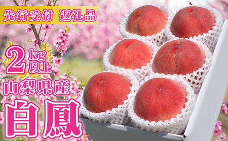5-55 【2024年発送】山梨県産 採れたて完熟桃 白鳳系2kg以上（5～8玉）ふるさと納税