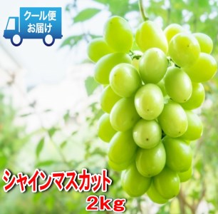 S̃N[֔@nɎYn@VC}XJbg@2kgi3`4[j ALPDB003