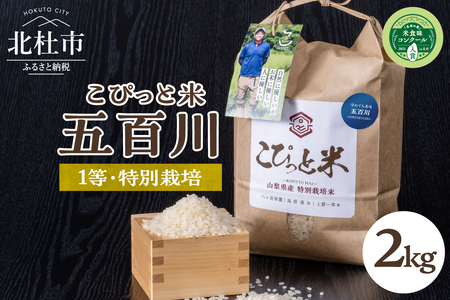 こぴっと米[五百川]2kg 1等特別栽培米100%