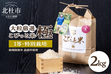 [令和6年度新米先行予約][令和6年度米]こぴっと米 栽培期間中 農薬不使用[極]2kg 大粒厳選米