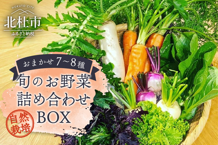八ヶ岳ピースファーム 旬のお野菜詰め合わせBOX 自然栽培