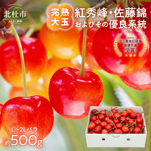 【2026年発送】完熟大玉・さくらんぼ（L～2Lバラ約500g） [h039]