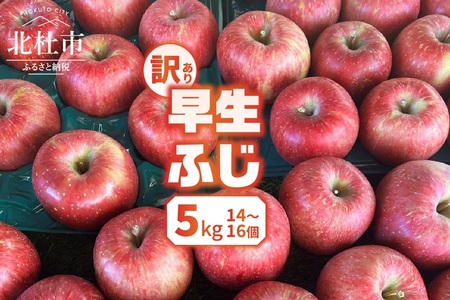 [2024年先行予約][訳あり]早生ふじ5kg(14個〜16個)