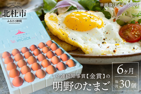 [6ヵ月定期便]3年連続知事賞(金賞)の明野たまご 30個入
