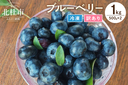 [訳あり]O-B-Iベリ―農園の冷凍ブルーベリー1kg(500g×2)