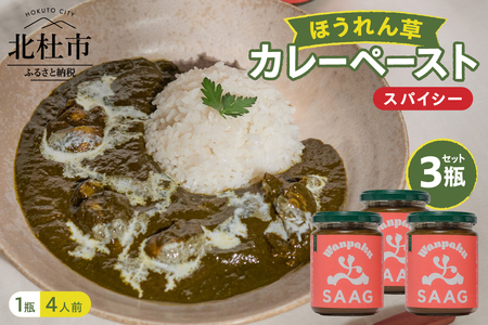 スパイシーほうれん草カレーペースト3瓶セット カレー ペースト 12人前 スパイシーほうれん草 3個 保存着色料 無使用 瓶詰 持ち運び アウトドア 仕送りギフト 山梨県 北杜市