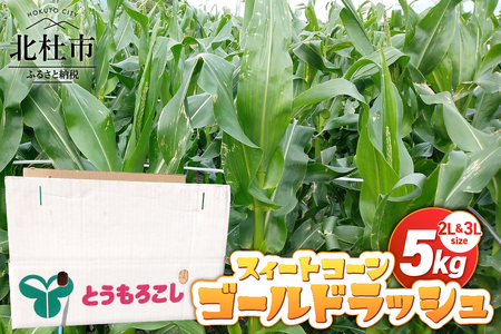 【2025年先行予約】スィートコーン・ゴールドラッシュ 2L&3L　期間限定 数量限定 とうもろこし トウモロコシ ゴールドラッシュ コーン スイートコーン 2L&3L 5kg 10本～12本 甘い 【2025年先行予約】 北杜市産