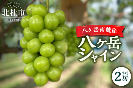 [2025年先行予約]八ケ岳南麓産「八ケ岳シャイン」シャインマスカット シャインマスカット 2025年 先行予約 2房 セット 約1kg 期間限定 数量限定 八ヶ岳シャイン 葡萄 ぶどう ブドウ マスカット フルーツ 果物 高品質 大粒 甘い 朝採り 山梨県 北杜市 八ヶ岳南麓