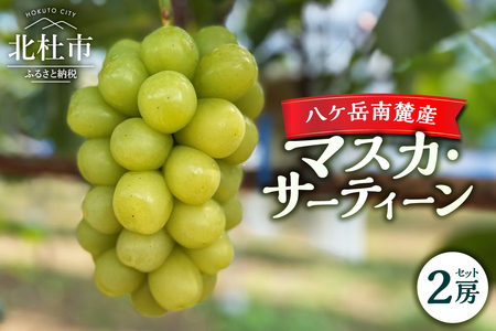 [2025年先行予約]八ケ岳南麓産「マスカ・サーティーン」 マスカ・サーティーン ・ 2025年 先行予約 ぶどう 2房 セット 約1kg 期間限定 数量限定 新品種 葡萄 ブドウ フルーツ 果物 弾力 大粒 甘い 山梨県 北杜市 八ヶ岳南麓