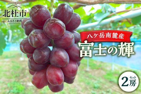 [2025年先行予約]八ケ岳南麓産「富士の輝」 ブラックシャインマスカット 2025年 先行予約 2房 セット 期間限定 数量限定 富士の輝 新品種 葡萄 ぶどう ブドウ フルーツ 果物 大粒 濃厚 コク 甘い 希少種 シャインマスカット 山梨県 北杜市 八ヶ岳南麓