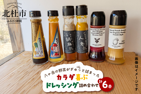 八ヶ岳の野菜がぎゅっと詰まったカラダ喜ぶドレッシング詰め合わせ×6本 ドレッシング 野菜 詰め合わせ 6本 フェリチタドレッシング 杜のドレッシング ナチュラルドレッシング 調味料 食べ比べ 手づくり サラダドレッシング