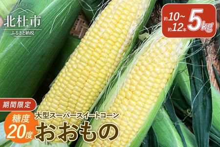 今が旬！茅ヶ岳高原 糖度20度 大型スーパースイートコーン《おおもの》  とうもろこし おおもの 大型 スーパースイートコーン 5kg 約10本～12本 糖度20度 茅ヶ岳高原 夏野菜 旬 トウモロコシ コーン お中元 ギフト 2025年  期間限定 数量限定 山梨県 北杜市