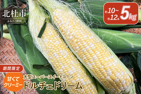 【2025年先行予約】今が旬！茅ヶ岳高原 クリーミー 大型 スーパースイートコーン《ドルチェドリーム》  2025年先行予約 とうもろこし ドルチェドリーム 大型 スーパースイートコーン 5kg 約10本～12本 クリーミー 茅ヶ岳高原 夏野菜 旬 トウモロコシ コーン ギフト 2025年 8月中旬頃から順次発送 期間限定 数量限定 山梨県 北杜市