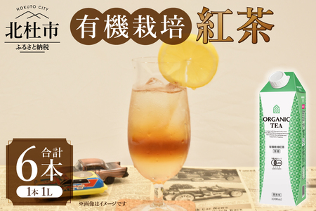 三井農林 WN(ホワイトノーブル紅茶) 有機栽培紅茶 1L×6本 有機栽培紅茶 無糖 紅茶 ホワイトノーブル 1L 1000ml×6本 紙パック アレンジティー 飲料 日東紅茶 業務用 優雅 贅沢 ティータイム 山梨県 北杜市