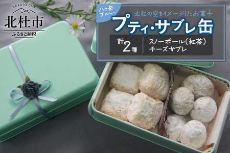 プティ・サブレ缶『八ヶ岳ブルー』サブレ 焼き菓子 ビスケット 詰合せ セット 9個入り スノーボール チーズサブレ 紅茶 アーモンド チーズ ギフト スイーツ お菓子 洋菓子 贈答品 プレゼント