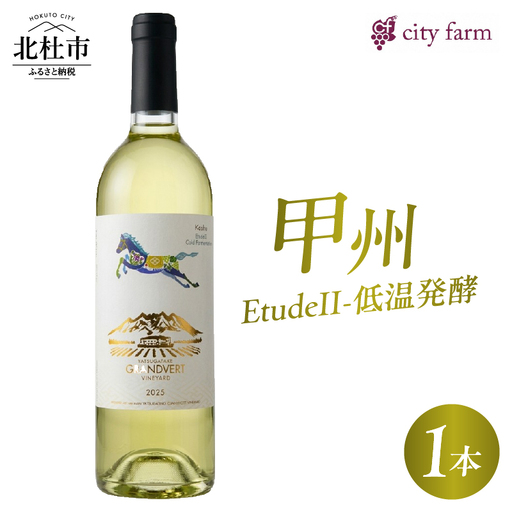 甲州2025[EtudeII-低温発酵]1本 [h135]