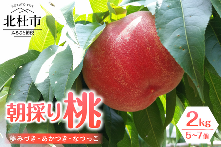 【2025年度先行予約】朝採り桃　2kg（夢みづき・あかつき・なつっこ）５～7個　山梨県産 桃 朝採り 2kg 5～7個 夢みづき あかつき なつっこ ミックス オリジナル 品種 堅い桃 北杜市 八ヶ岳