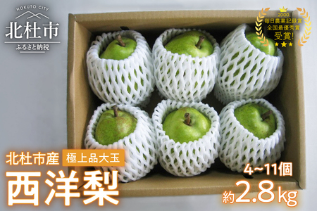 極上品　大玉西洋梨約2.8㎏（4～11個）【先行予約】 毎日農業記録賞・全国最優秀賞受賞 やまなしGAP認証 洋梨 梨 フルーツ 糖度14以上 極上品 ラフランス※2025年9月中旬以降発送 オーロラ ラ・フランス シルバーベル 岩原果樹園 山梨県 北杜市 送料無料