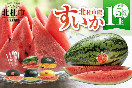 [2026年先行予約]北杜市白州産すいか「すいかばか!」のこだわりの特選すいか 戦水甘シリーズ中から1玉 [h047]