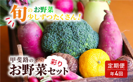 [定期便・年4回]旬のお野菜を少しずつたくさん!甲斐路の彩りお野菜セット