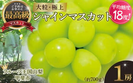 [2025年発送] 最高級 大房 シャインマスカット 1房 約700g 先行予約 山梨県産 産地直送 フルーツ 果物 くだもの ぶどう ブドウ 葡萄 シャイン シャインマスカット 新鮮 人気 おすすめ 国産 山梨 甲斐市 贈答 ギフト お取り寄せ 糖度18度〜糖度20度 AN-127