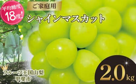 [2025年発送] ご家庭用 シャインマスカット 約2.0kg 先行予約 山梨県産 産地直送 フルーツ 果物 くだもの ぶどう ブドウ 葡萄 シャイン シャインマスカット 新鮮 人気 おすすめ 国産 不揃い 訳あり わけあり ワケアリ 山梨 甲斐市 糖度18度〜糖度20度 AN-131