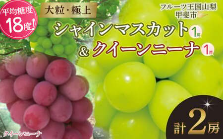 [2025年発送] 計2房 シャインマスカット1房 クイーンニーナ1 セット 先行予約 山梨県産 産地直送 フルーツ 果物 くだもの ぶどう ブドウ 葡萄 シャイン シャインマスカット クイーンニーナ 新鮮 人気 おすすめ 国産 贈答 ギフト お取り寄せ AN-132