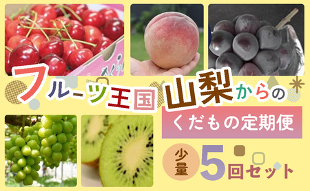 フルーツ定期便 5回(少量版) 旬のフルーツ 王国 山形 さくらんぼ 桃 巨峰 シャインマスカット キウイフルーツ 葡萄 ぶどう ブドウ もも モモ マスカット キウイ 定期 おすすめ 果物 くだもの くだもの定期便 国産 山形県 甲斐市 AD-244