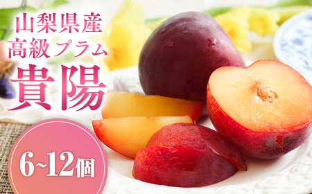 [先行予約2025年/令和7年発送分]貴陽 すもも 6〜12個入り 山梨県産 スモモ もも モモ 高級 フルーツ くだもの 果物 おすすめ 人気 山梨県 甲斐市 AV-6