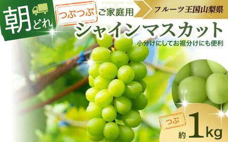 [2025年発送]ご家庭用 粒 シャインマスカット 1kg 減農薬 山梨県産 国産 産地直送 人気 おすすめ 贈答 ギフト お取り寄せ フルーツ 果物 くだもの ぶどう ブドウ 葡萄 わけあり ワケアリ 新鮮 甘い 皮ごと 甲斐市