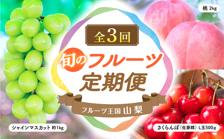 [2025年分発送]旬のフルーツ定期便(3種)定期便 定期 フルーツ くだもの 先行予約 先行 予約 山梨県産 産地直送 果物 くだもの ぶどう ブドウ 葡萄 シャイン シャインマスカット 桃 モモ さくらんぼ 新鮮 人気 おすすめ 国産 山梨 甲斐市 贈答 ギフト お取り寄せ 朝どれ