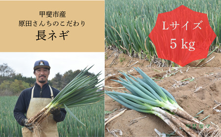 c񂿂̂蒷lM@@5@ylM@˂@lM@@؁@₳@VN@lC@R@R@bs@b@_ƒ@Ynz@AD-307